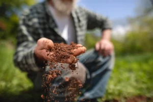 Soil assessment